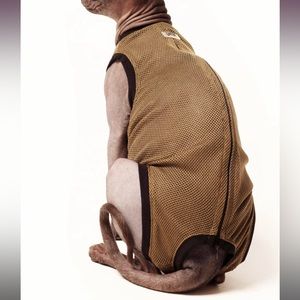 Washable Cat Stud Suit/Full body Diaper Cover